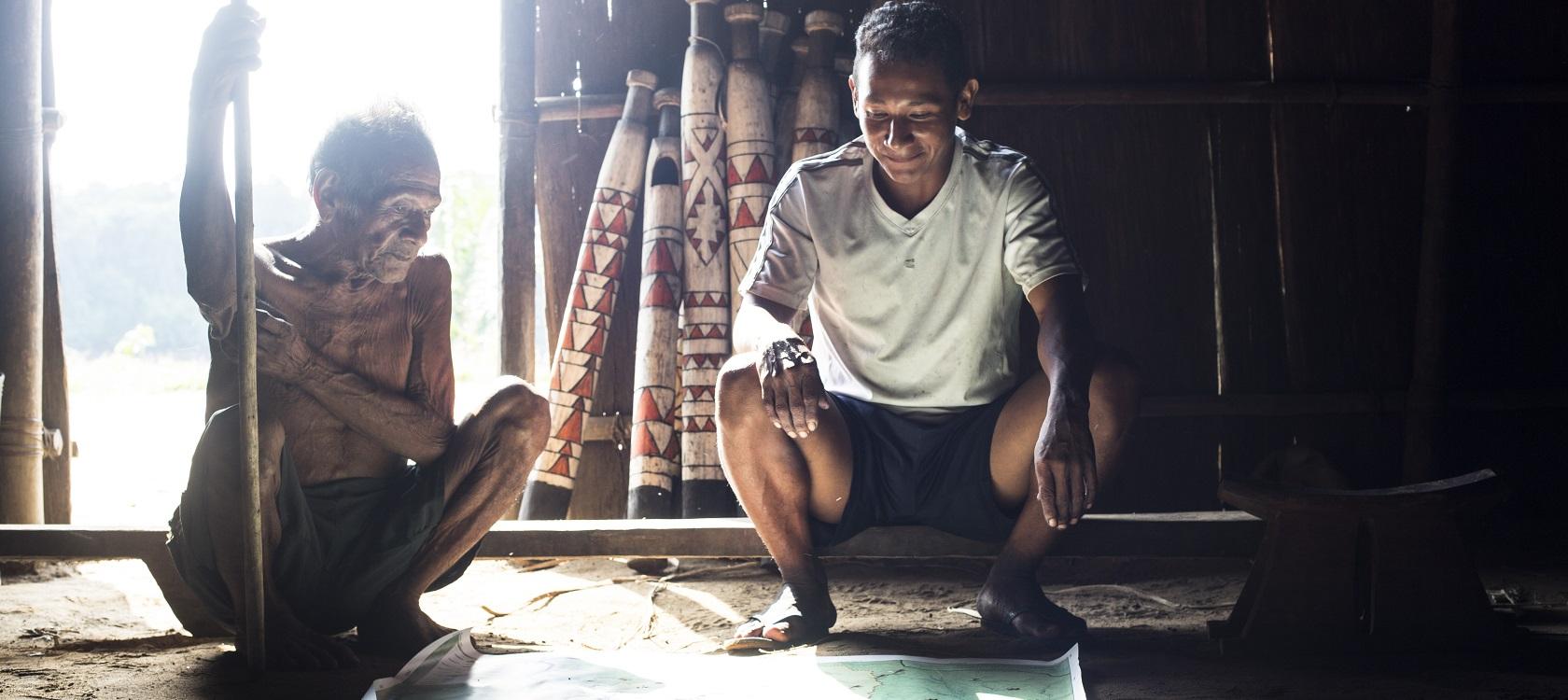 terrindigena amazonie forêt autochtones communautés