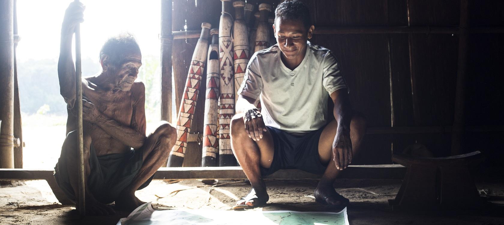 terrindigena amazonie forêt autochtones communautés