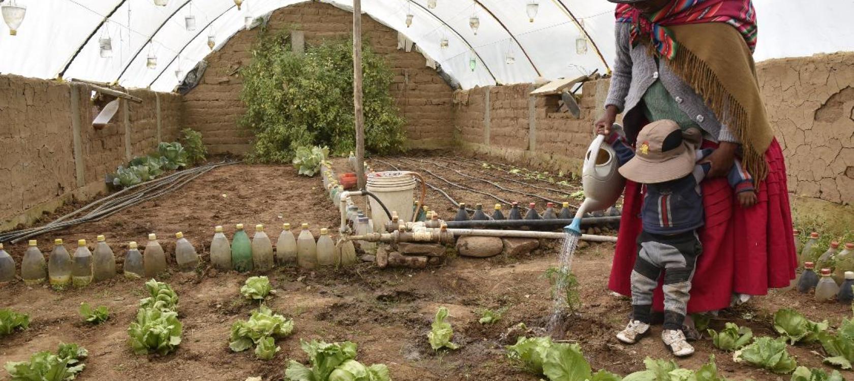 Consolidation d’une agriculture résiliente au changement climatique
