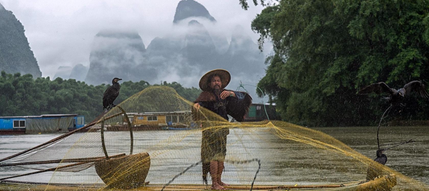 Pêcheur à Yangshuo (région du Guangxi)