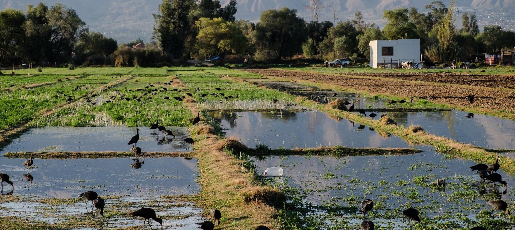 eau gestion ressource assainissement Bolivie Amérique latine