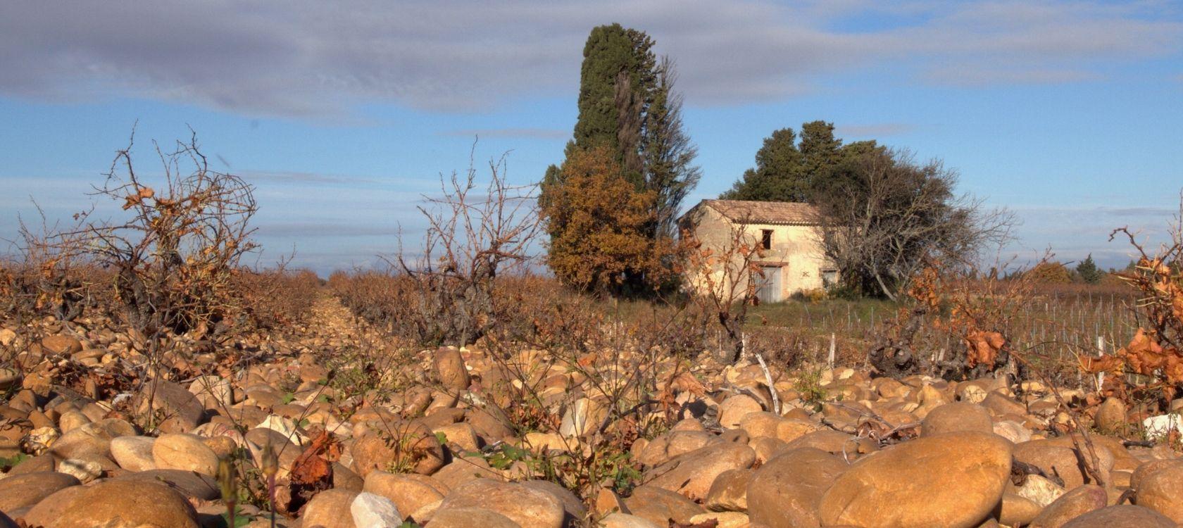 Alpine diluvium of Châteauneuf-du-Pape