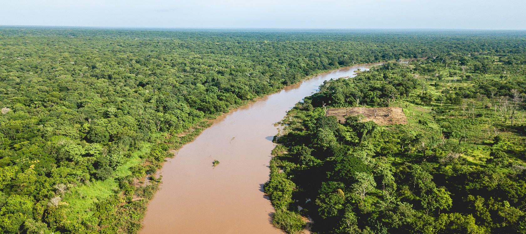 forêts fleuve