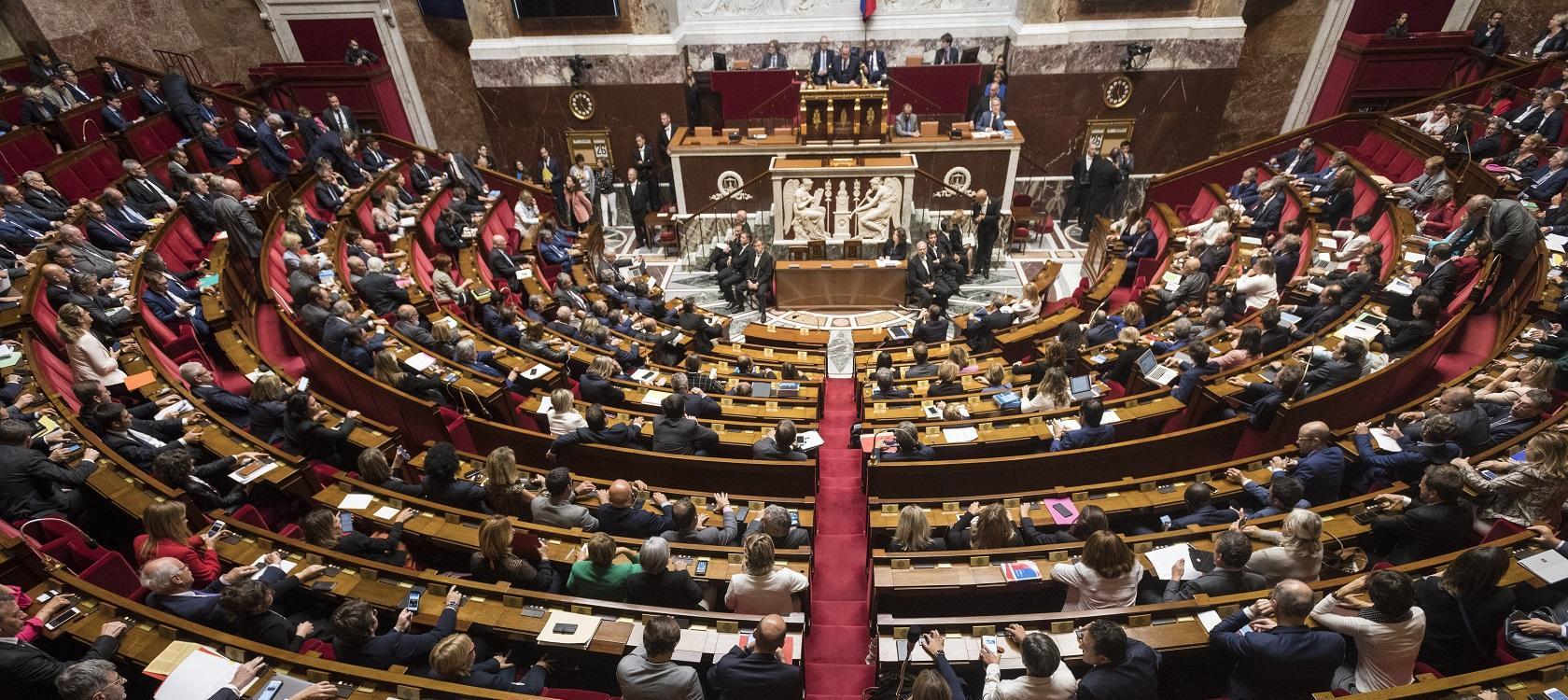 National Assembly voting on the Development bill