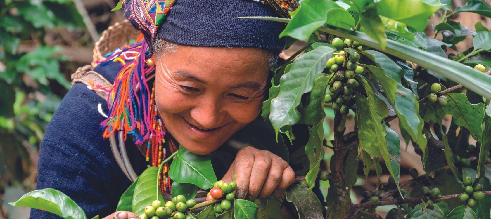 Au Laos, 65 % de la population vit en milieu rural et dépend de l’agriculture