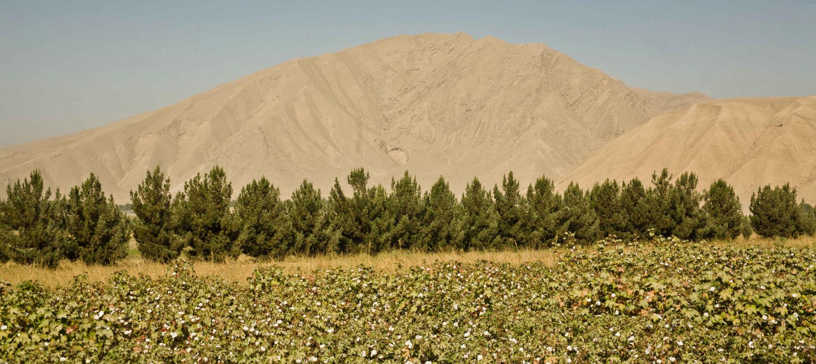 agriculture, Landscape, Afghanistan
