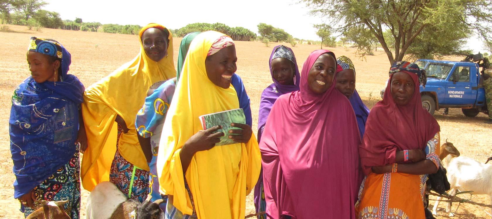Projet Nexus urgence-développement-paix, Niger, AFD