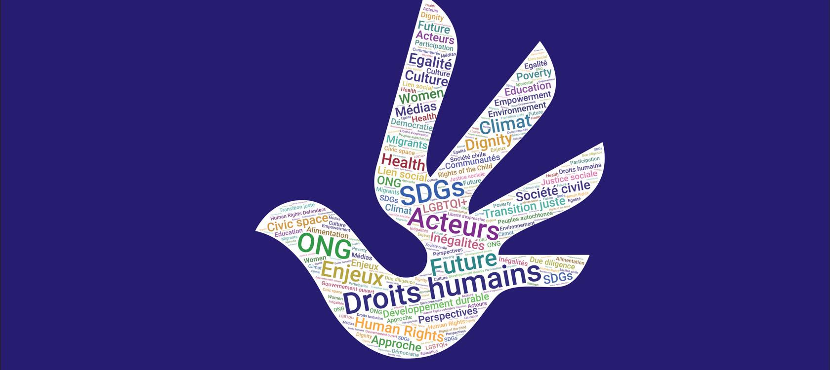 Conférence Droits humains et développement