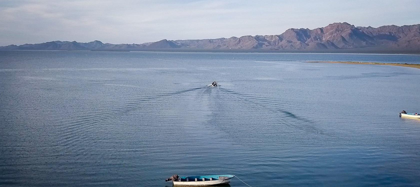 océans biodiversité marins