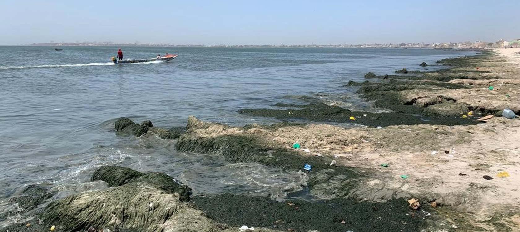 Dépolluer la baie de Hann