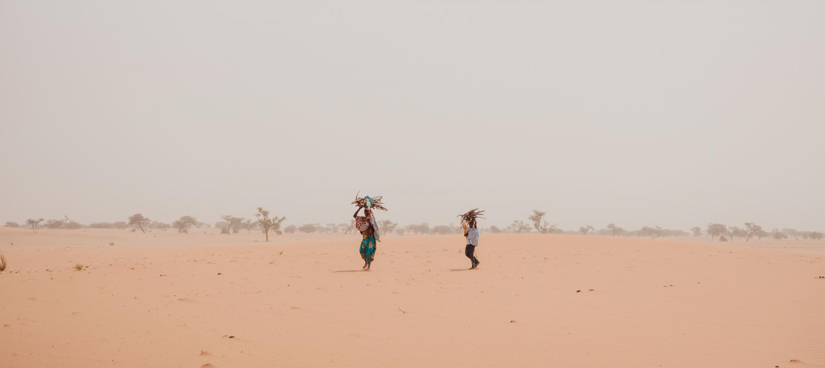 Mère avec son fils en train de ramasser du bois pour la préparation du repas, sur le chemin du retour vers Gouré, Niger