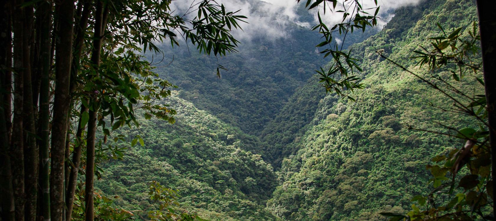 Au Mexique, dans l'Etat de Puebla, la nature offre des paysages exceptionnels. La biodiversité est protégée par des systèmes de gouvernances inédits et encouragés par l'AFD.
