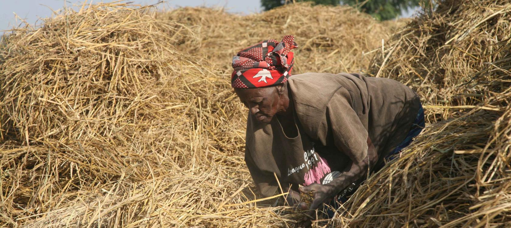 Crise alimentaire en Afrique de l'Ouest