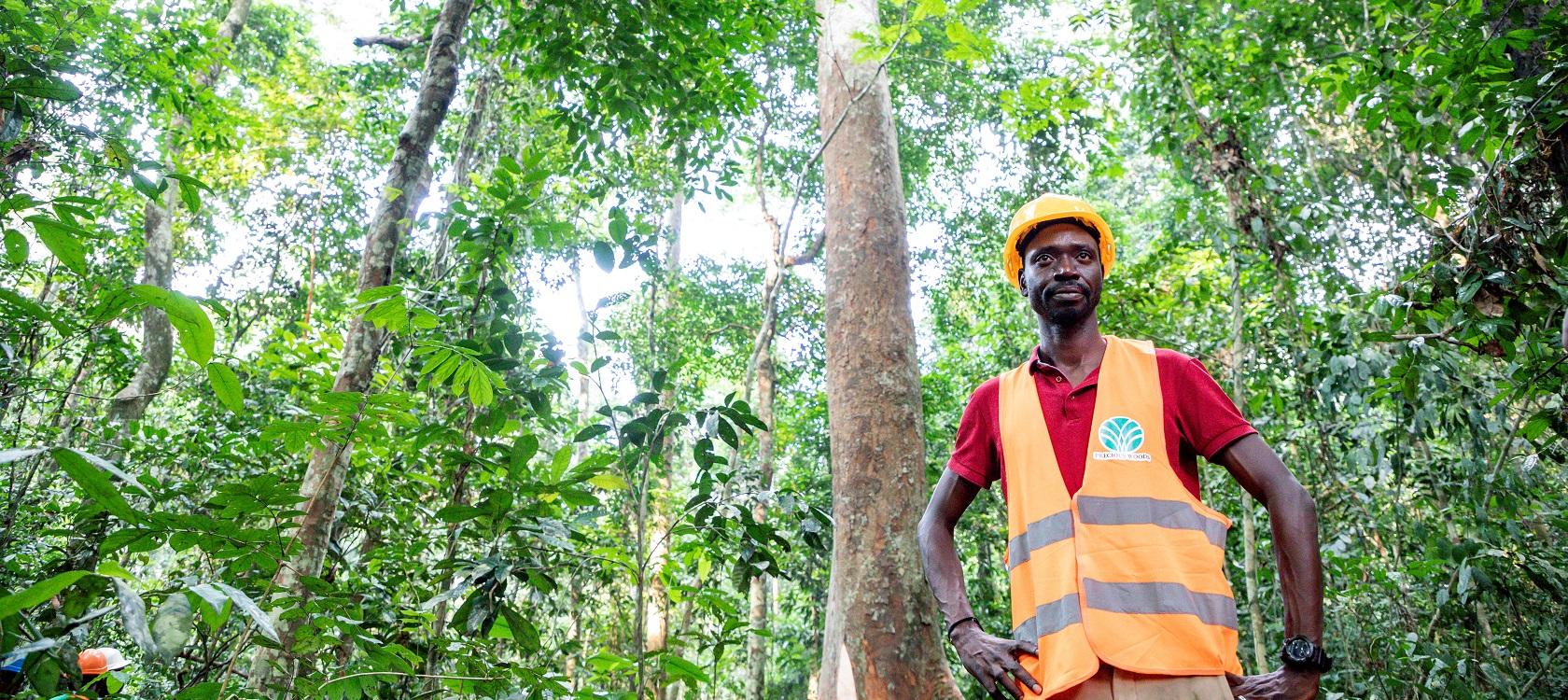 Gabon : exploiter la forêt sans la détruire | AFD - Agence Française de ...