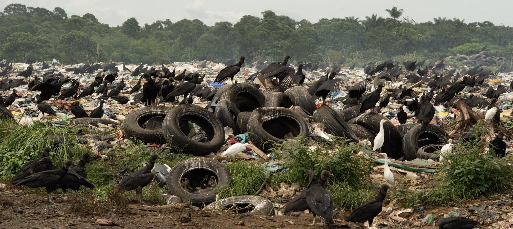 Déchets Suriname
