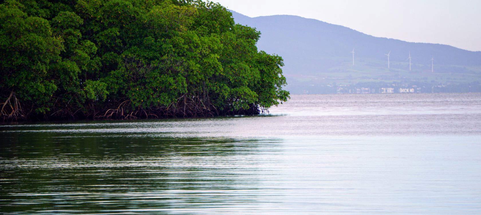 Une île aux caraïbes 