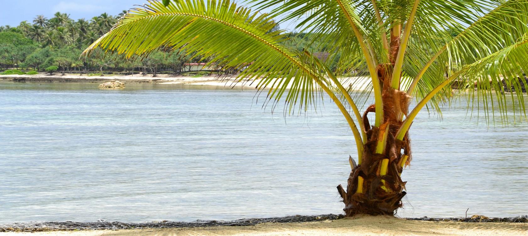Changement climatique et biodiversité 