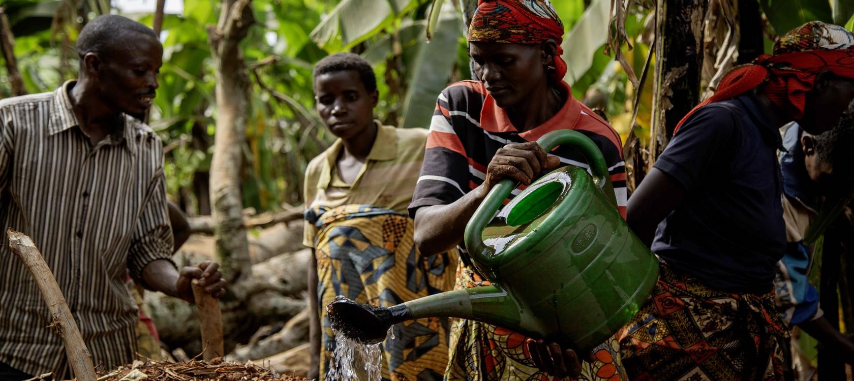Agriculture Burundi