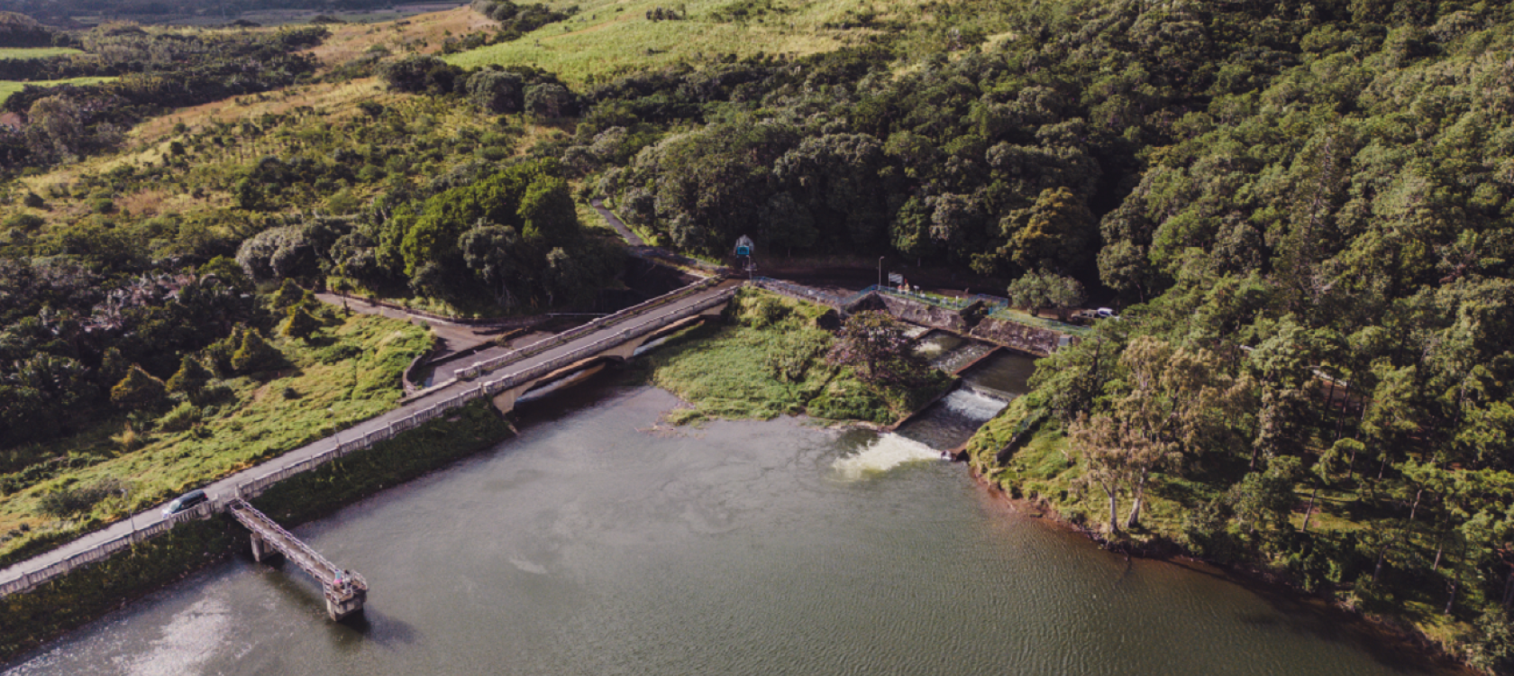 forêt rivière île maurice 