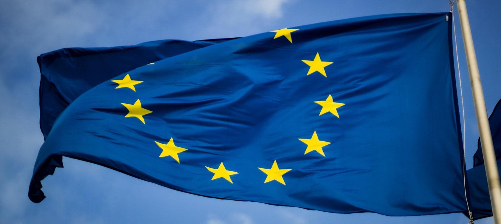 europe AFD election Union