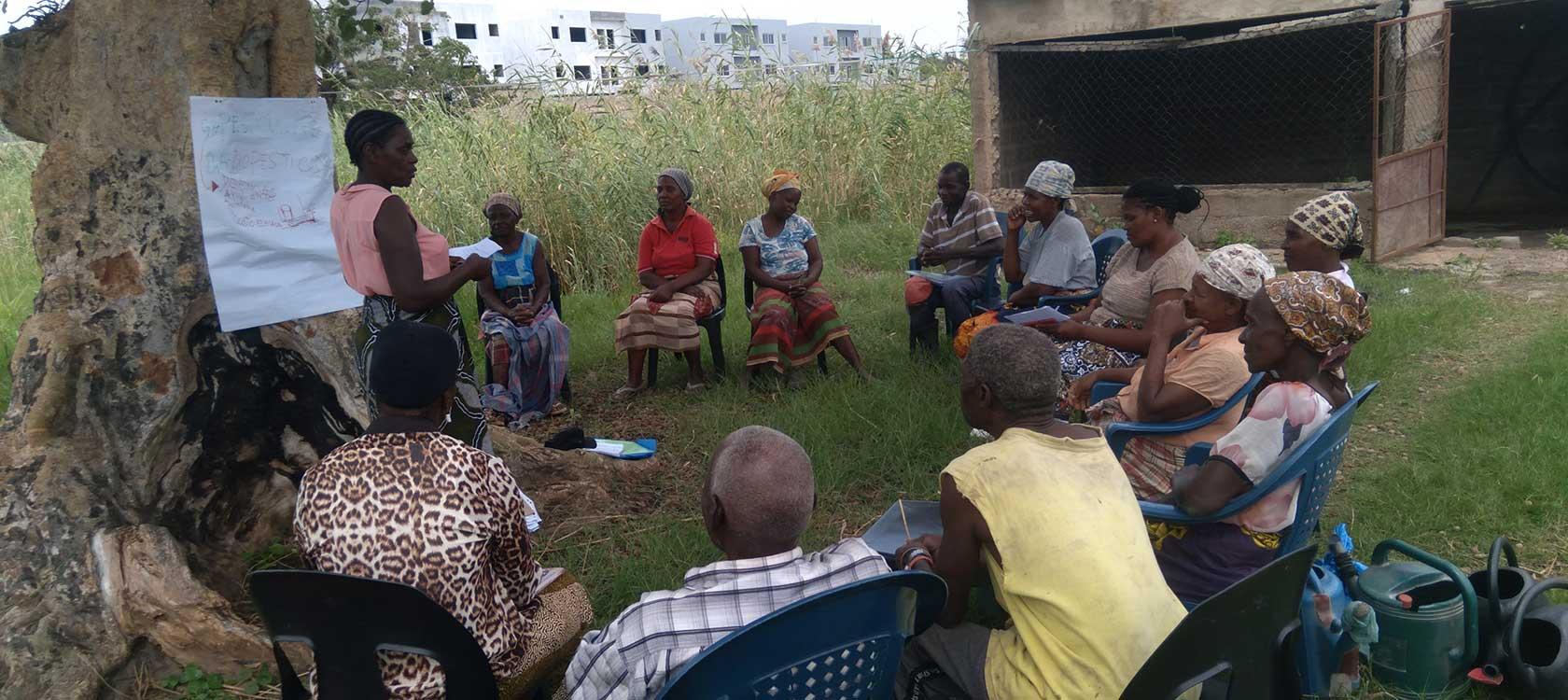 The project arises from the need to continue strengthening the agro-ecology value chain in the cities of Maputo and Nampula, Mozambique