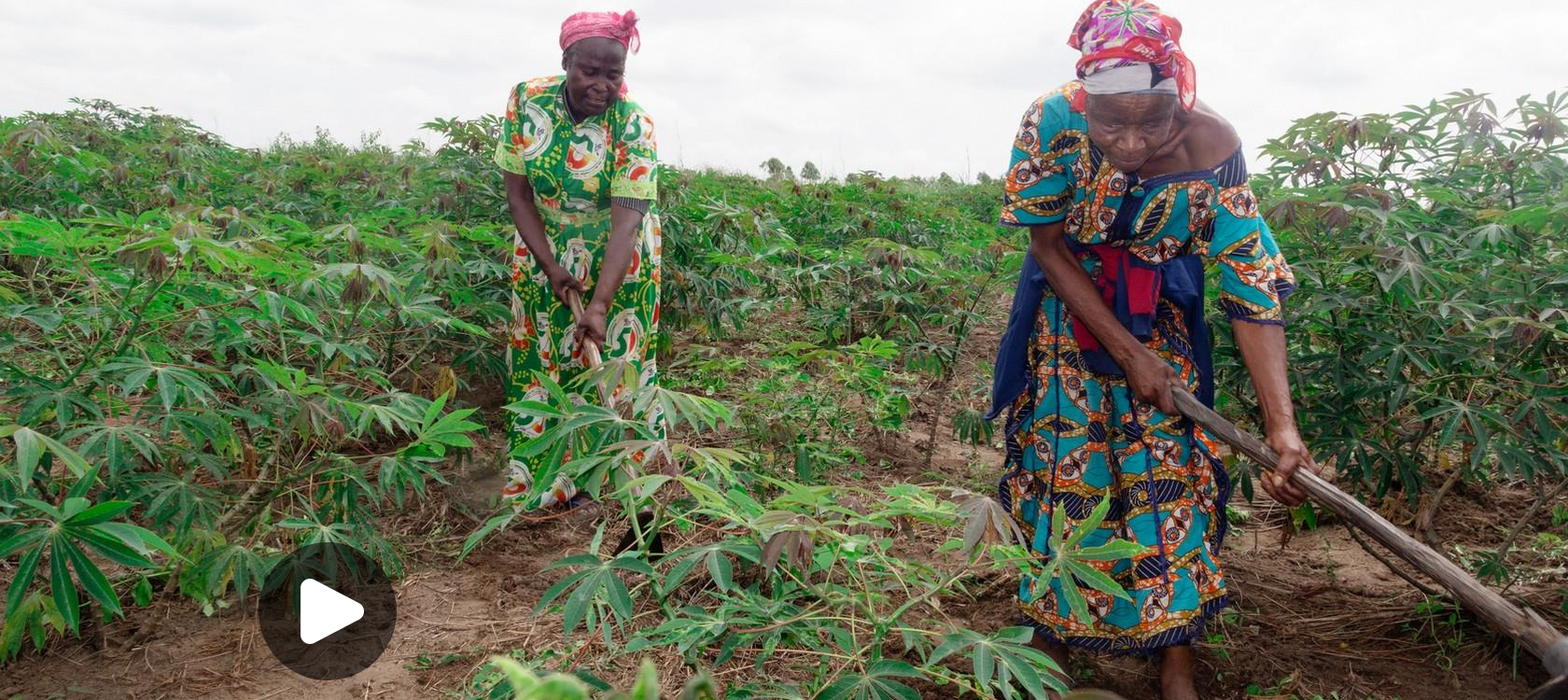 action sociale congo femmes agriculture