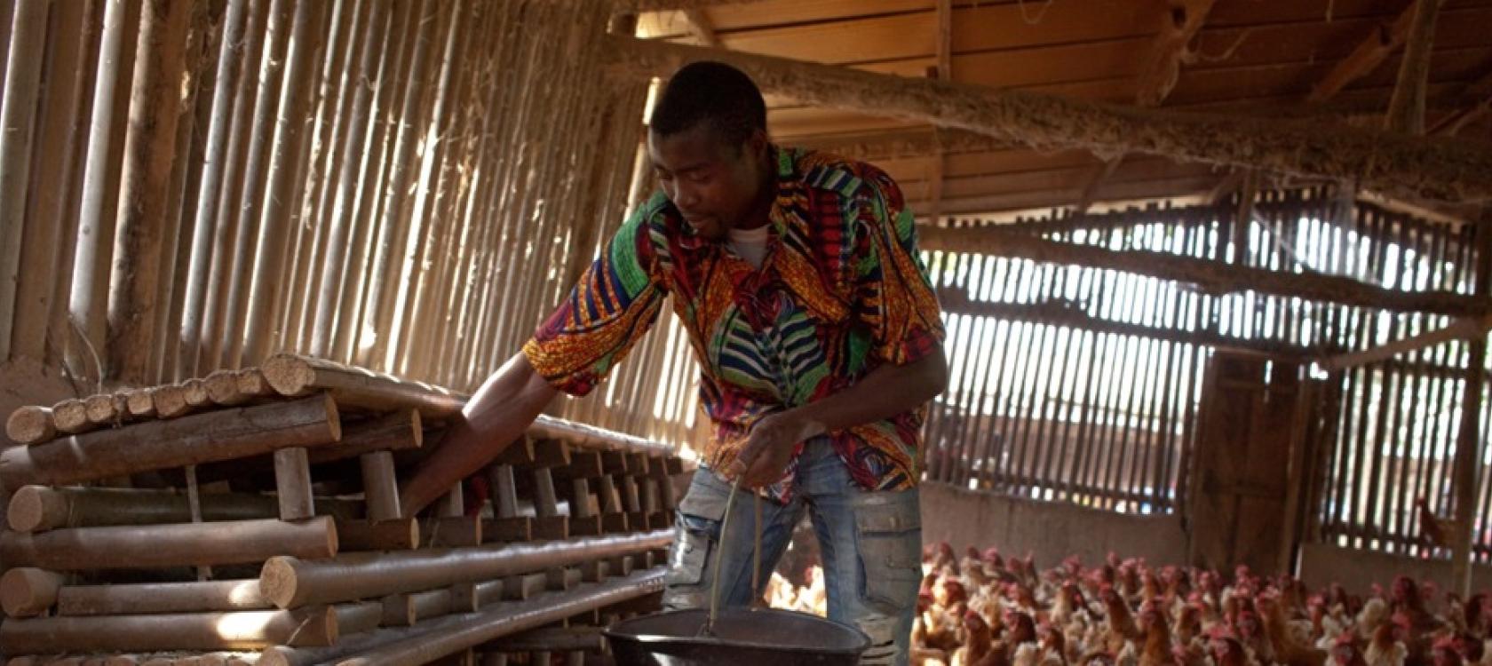 Le Programme de Consolidation et de Pérennisation-Agropastoral (PCP-ACEFA) vise à améliorer du-rablement la productivité et les revenus d'un million d'exploitations agricoles camerounaises.