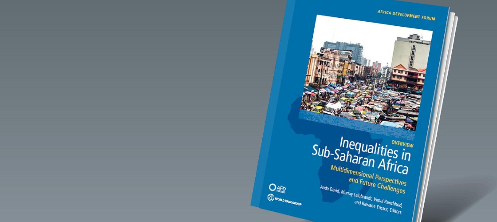 webinaire lutte contre inegalites afrique subsaharienne