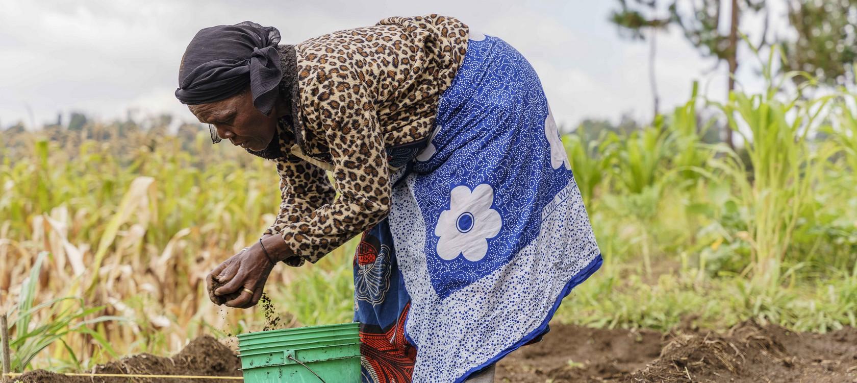 Agriculture Tanzanie