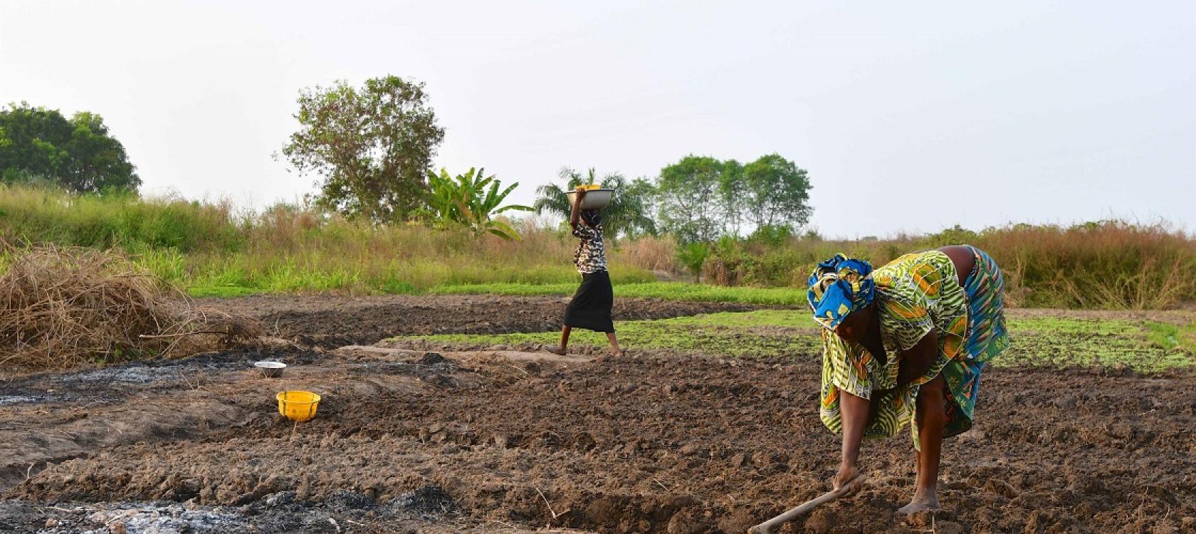 femmes benin agriculture afd