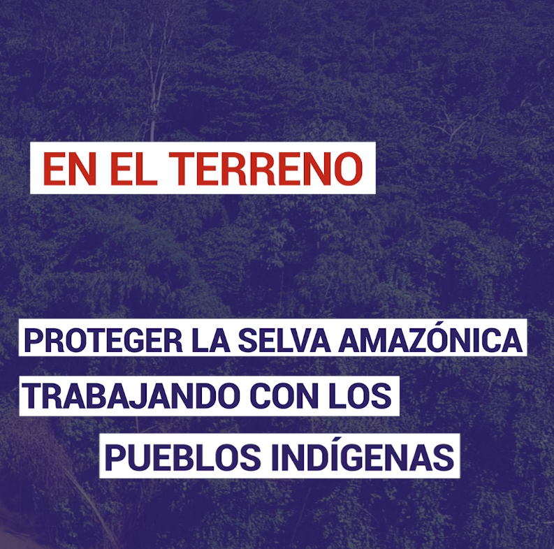 Proteger la selva amazónica  trabajando con  los pueblos indígenas