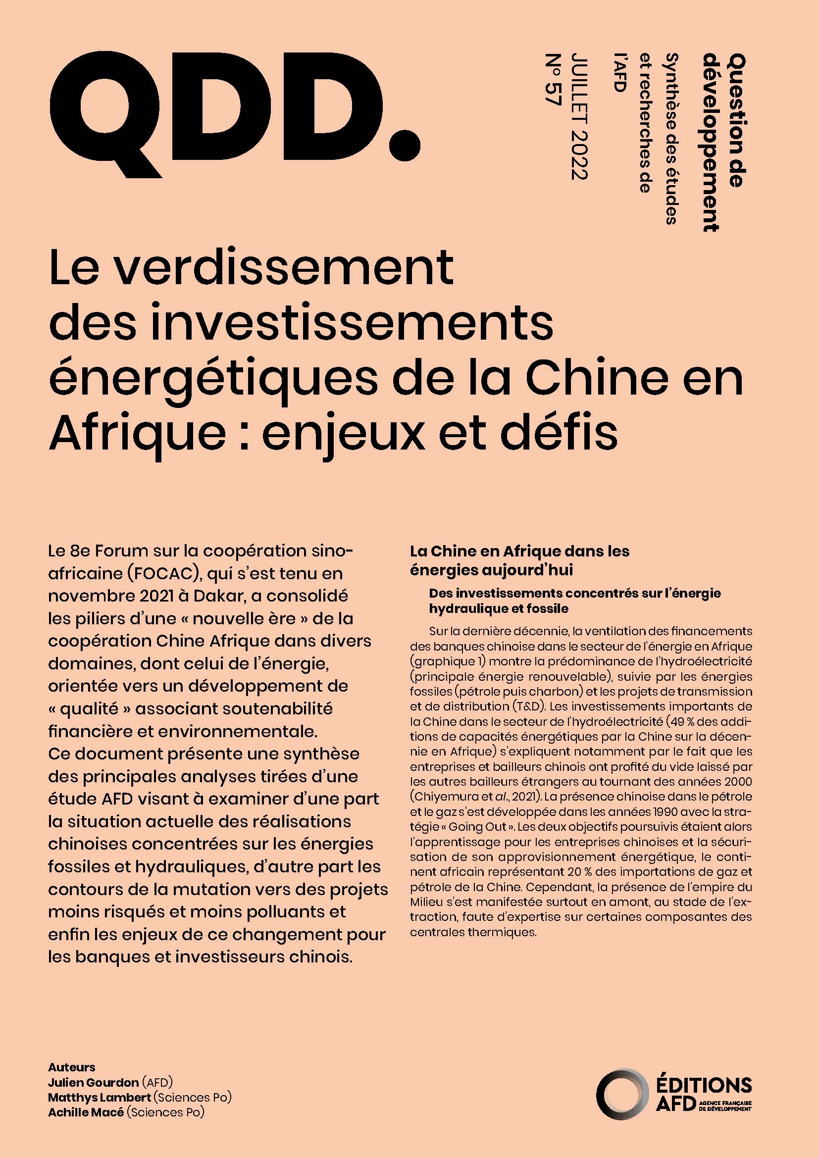 Le verdissement des investissements énergétiques de la Chine en Afrique