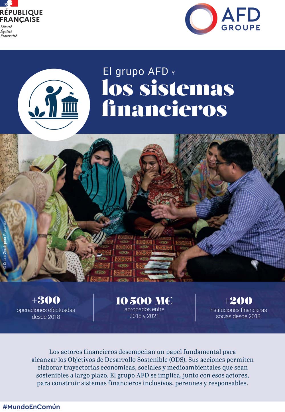 El grupo AFD y los sistemas financieros