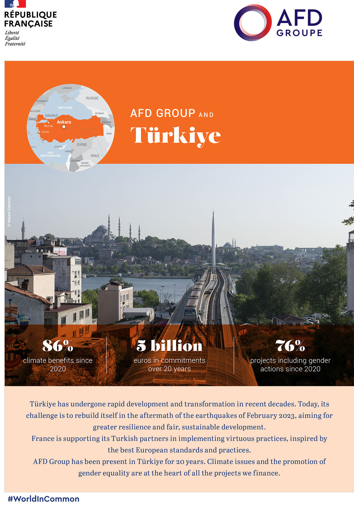 AFD and Turkey