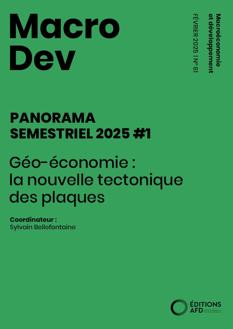 Couv MacroDev 61 VF