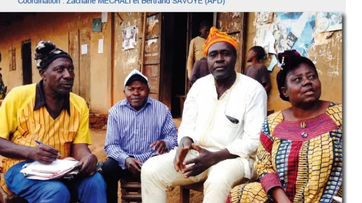 Améliorer la compétitivité des exploitations familiales au Cameroun : quels impacts ?