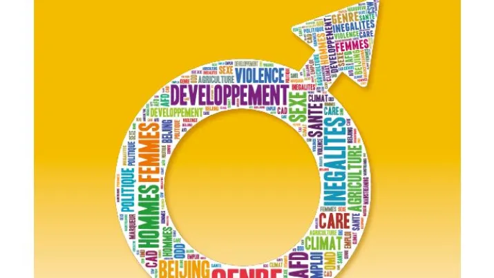 boîte à outils genre : développement urbain couverture