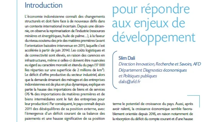 Macrodev N°24 Indonésie Couverture