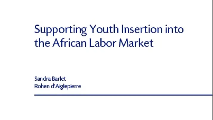 youth-insertion-african-labor-market