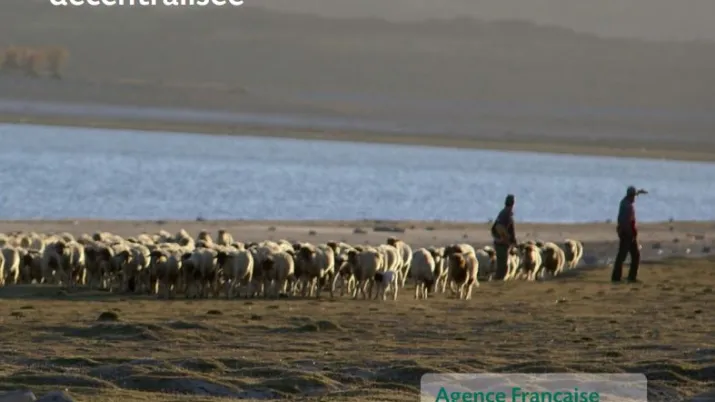Savoirs communs n°8 : Parcs naturels régionaux de France et coopération décentralisée