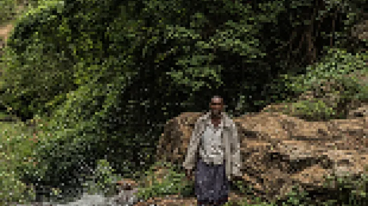 Une oasis dans le désert