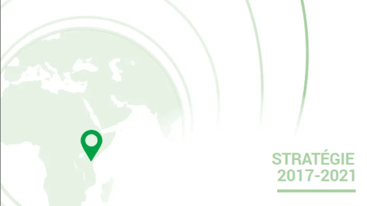 Stratégie Nigéria 2017-2021