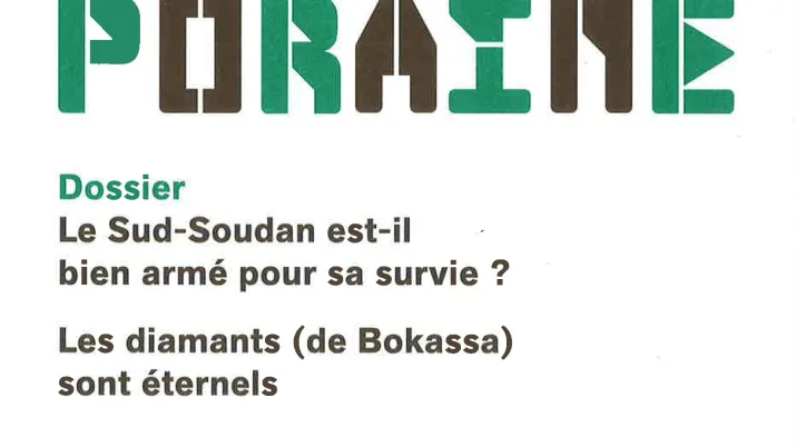 Le Sud-Soudan est-il bien armé pour sa survie ?