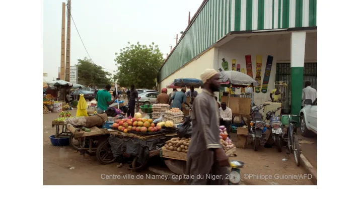 Etude sur les systèmes d’approvisionnement et de distribution alimentaires au Niger