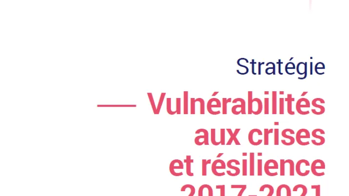 Stratégie vulnérabilités aux crises et résilience VF