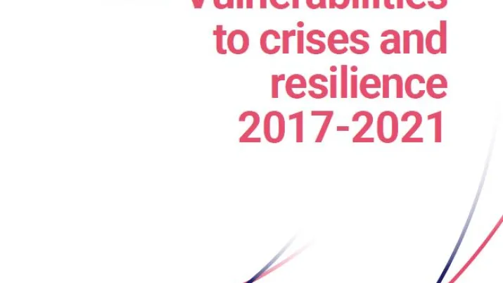Strategy Vulnerabilities to Crises and Resilience 2017-2021