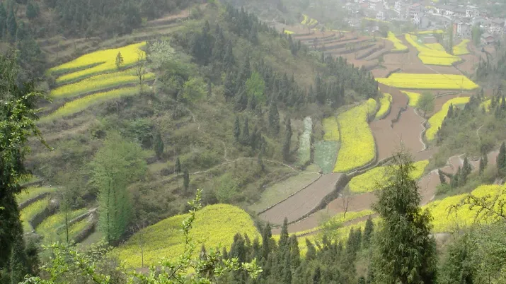 Nature, Chine