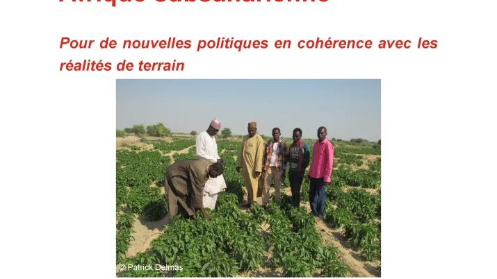 Couverture étude sur le conseil agricole en Afrique subsaharienne