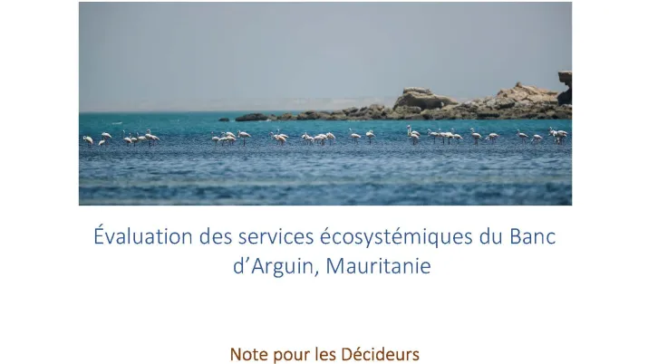 Évaluation des services écosystémiques du Banc d’Arguin, Mauritanie (note pour les décideurs)