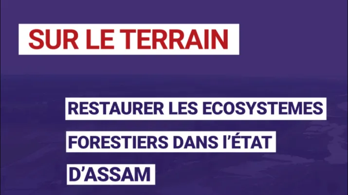 Restaurer les écosystèmes forestiers dans l'état d'Assam